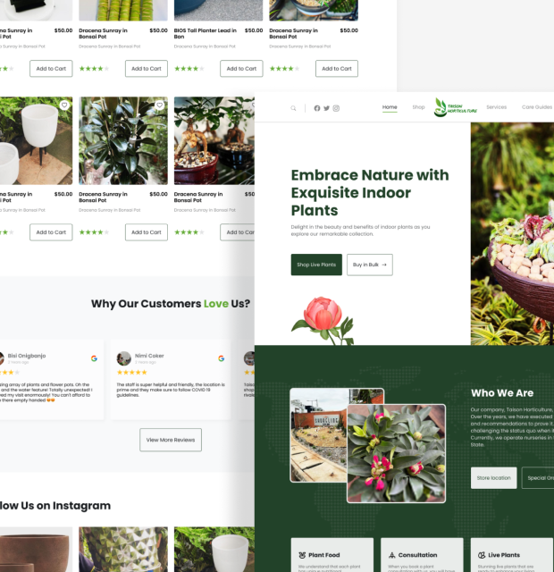 Taison Horticulture